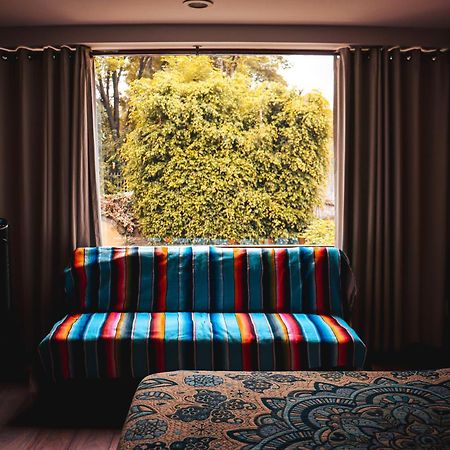 Suites Cuija Coyoacan Mexico By Eksteriør billede